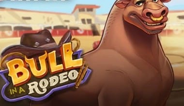 Bull in a Rodeo